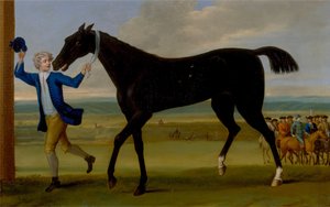Rutlands公爵Bonny Black 作者 约翰·伍顿